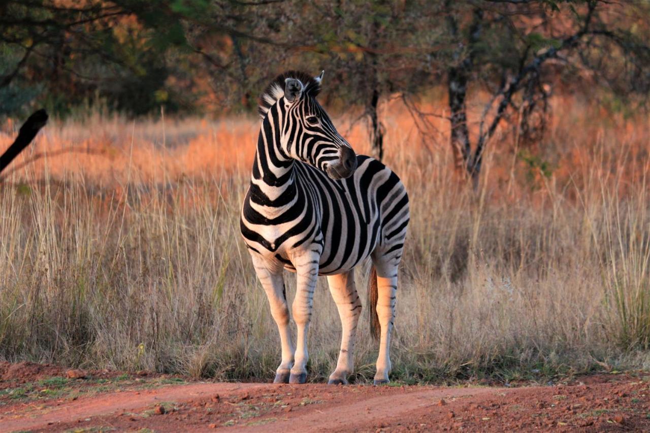 Bass Lake Country Lodge Pretoria-Noord Zewnętrze zdjęcie