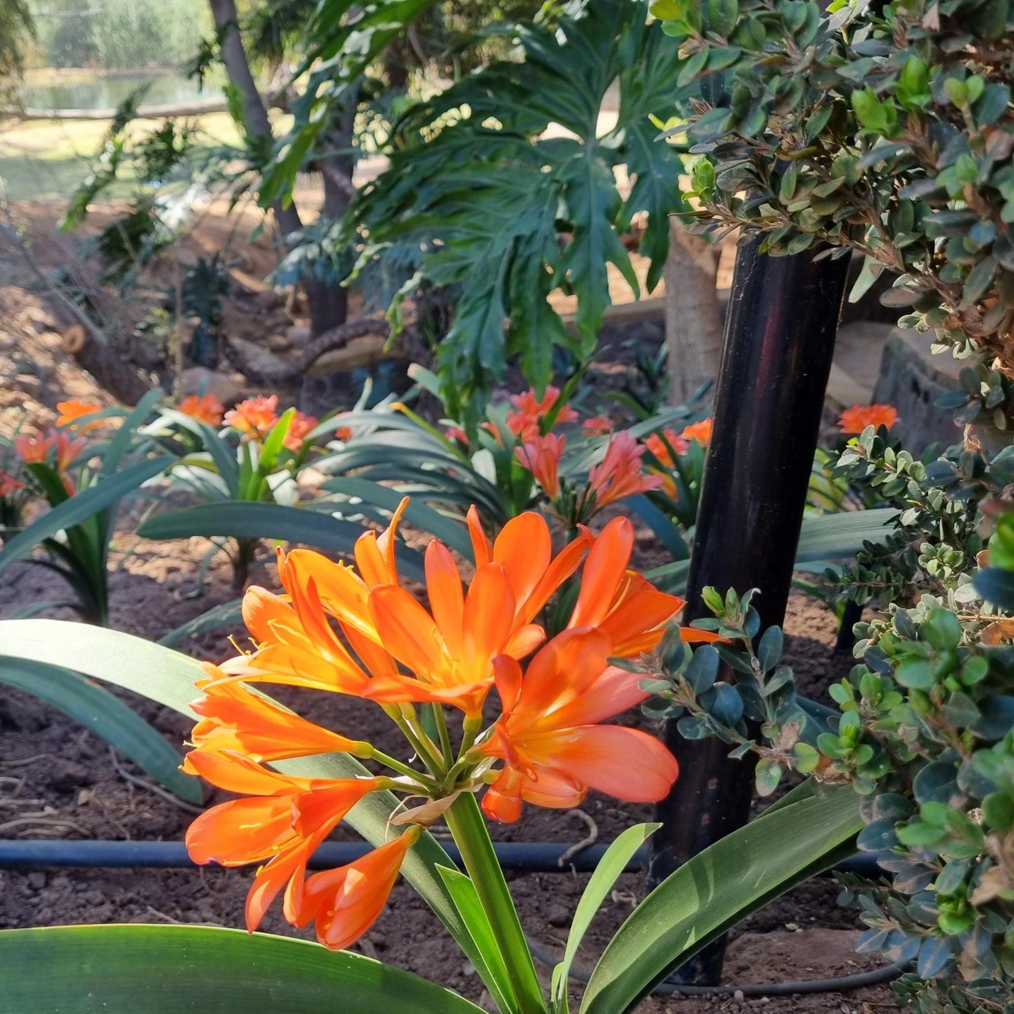 Bass Lake Country Lodge Pretoria-Noord Zewnętrze zdjęcie